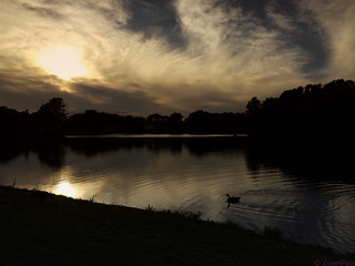 Sunset on Fulton Pond