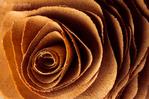161/365 Wooden Rose | I love a good wood texture. And there'… | Flickr