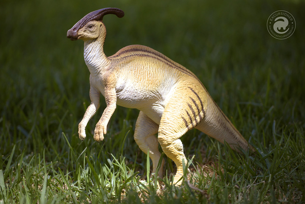 Parasaurolophus Model
