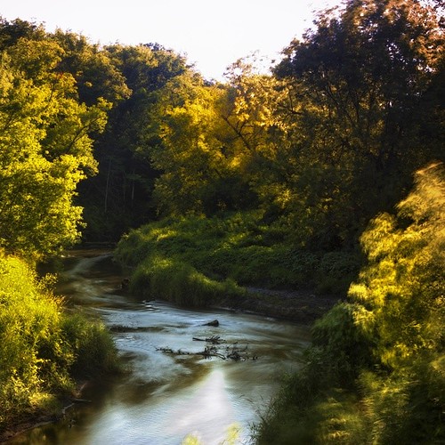 I loved how the light made the trees glow, and the small pockets of light that touched the grass in the background. Found this gem on a bike ride I took this weekend.   #landscape #nature #beautiful #summer #vsco #clouds #love #sky #instadaily #igers #bea, square squareformat iphoneography instagramapp uploaded:by=instagram