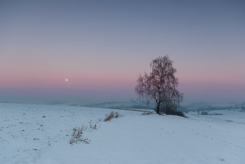 moon snow tree winter evening orły województwopodkarpackie polska