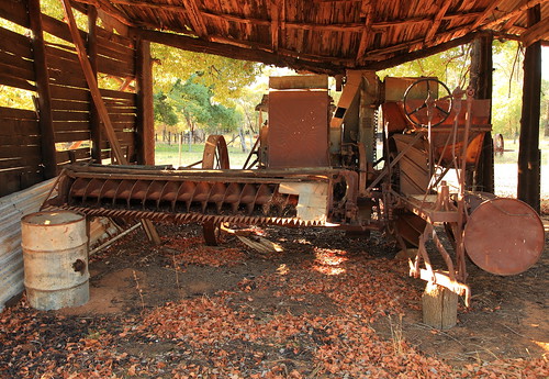australia abandoned derelict disused decaying dilapidated farming grenfell history heritage infrastructure implement harvester sunshine weddinmountainsnationalpark newsouthwales rural rustic rusty