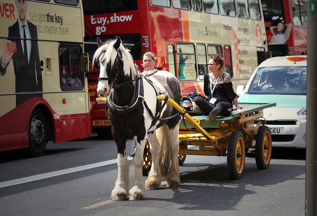 Brighton 2014: 'orse & cart