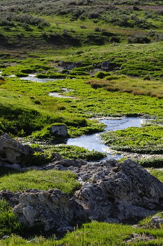 No Name Hot Spring | by hansreb3