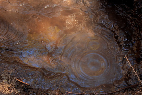 Tokaanu Thermal Walk - mud pool | by MaryD NZ
