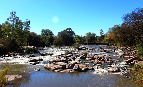 trees nature river southafrica vaal parys