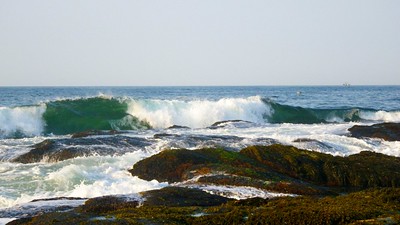 Waves at Beavertail