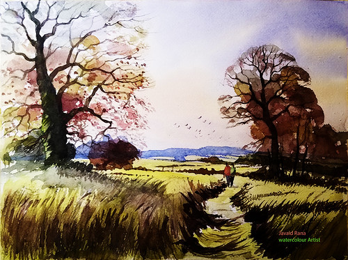 watercolour watercolor autumn spring summer woods woodland england devon landscape oil painting english oaks fields colours fall sky trees hedges hedgerows meadow farms farmland countryside cow parsley bulrushes poppies brambles
