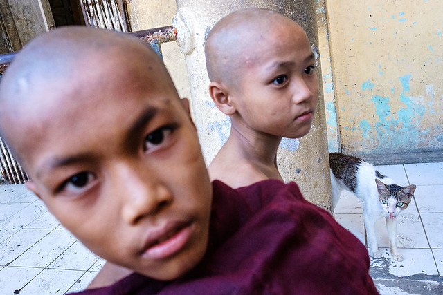 Novice monks and cat - Mawlamyine, Myanmar