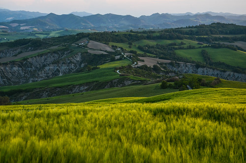 italy panorama landscape nikon italia collina appennino emiliaromagna romagna cesena campodigrano d5100 casalbono casevenzi