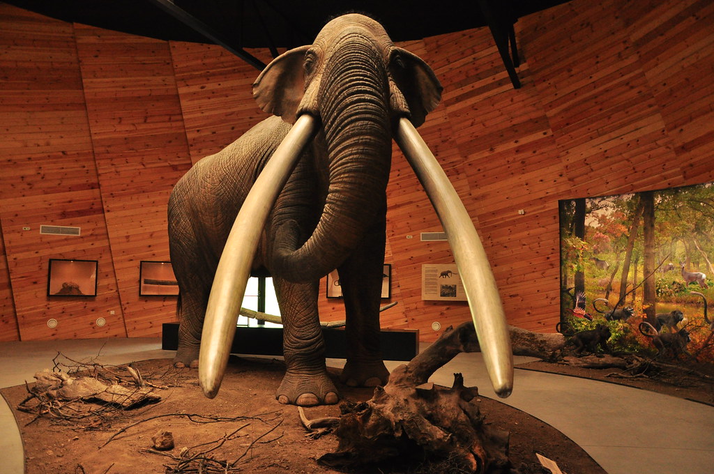 Four metres tall sculpture of the mastodon Anancus
