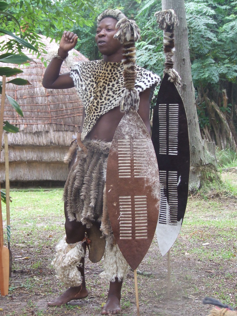 Zulu Warrior With Shield
