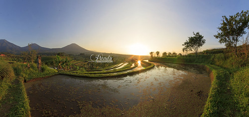morning bali panorama sunrise indonesia landscape photography tour village mount guide ricefield jatiluwih baliphotography balitravelphotography baliphotographytour baliphotographyguide