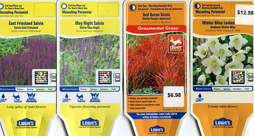 Perennial tags | by F. D. Richards