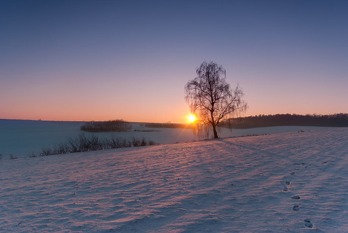 winter landscape sunset tree snow frost colors cold orły województwopodkarpackie polska