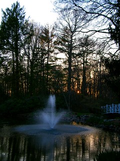 Sunset Pond 01