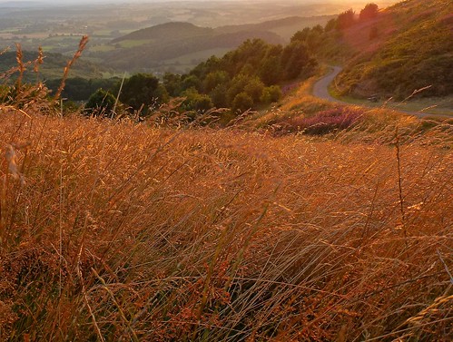 light sunset england sunlight grass malvern worcestershire herefordshire malvernhills heartofengland dinglegap