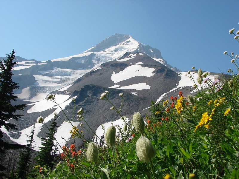 Mt. Hood from the Timberline Trail near Elk Cove