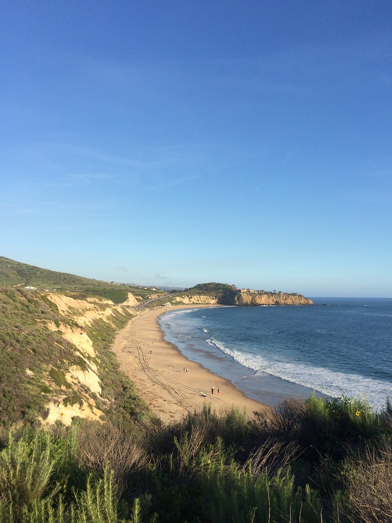 Brian's Trail, near Explore the Cove – Coastal Ecology Hike