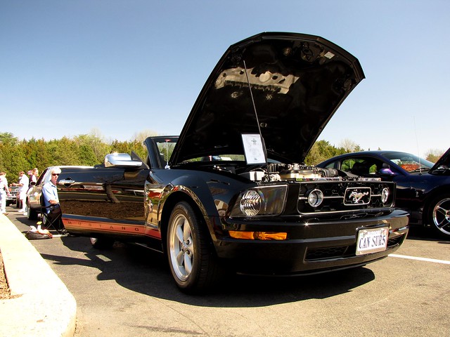 Ford Mustang [01]