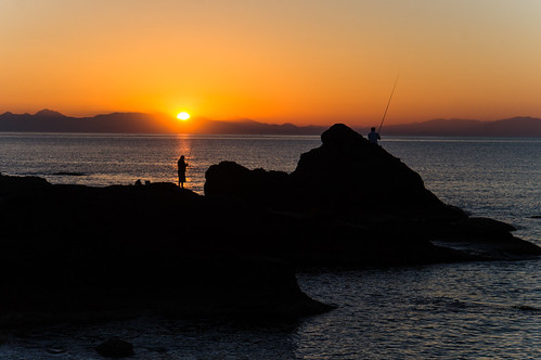 Fishy Sunrise