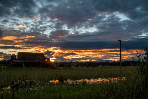sunset sky cloud colour reflection abandoned field silhouette barn sundown farm 2014