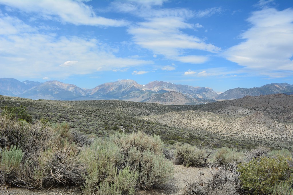 DRY CREEK SM