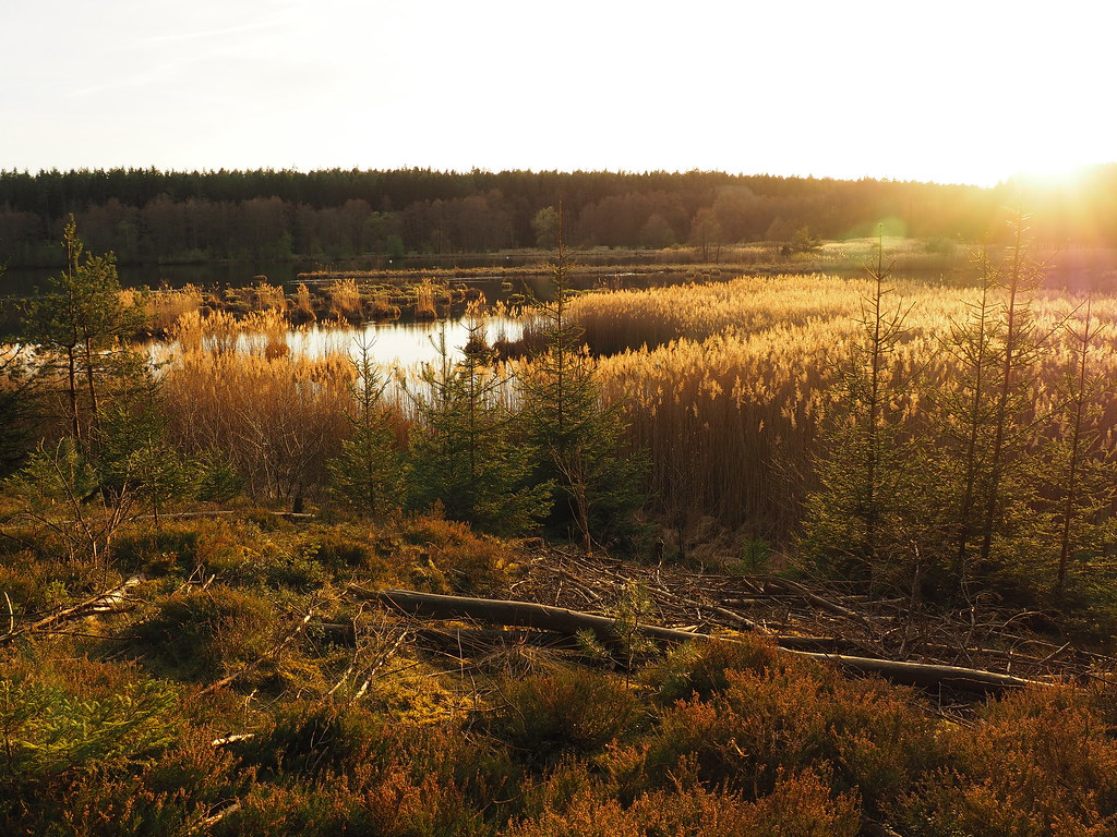 Pegnitzau - Abendstimmung | OLYMPUS DIGITAL CAMERA | Flickr