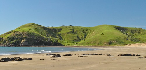 nouvellezélande newzealand coromandel muriwai plage beach sea mer pâturage pasture vert green paysage landscape