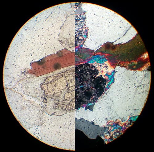 Sericitization Cordierite sericitization (30 µm thin section, PPL|XPL) | Flickr