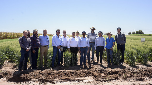 SAGARPA and CIMMYT administration pose for a group photo