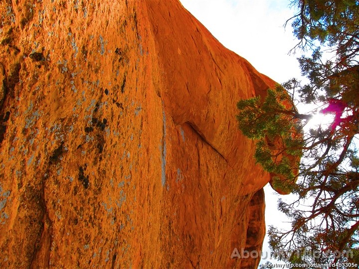 Three Gulch Trail