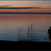 My Son Capturing an Image of Parksville Bay