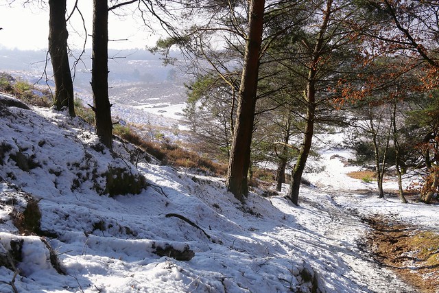 Strolling down the snowy hillside of the Posbank