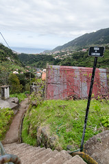 Madeira-16.jpg