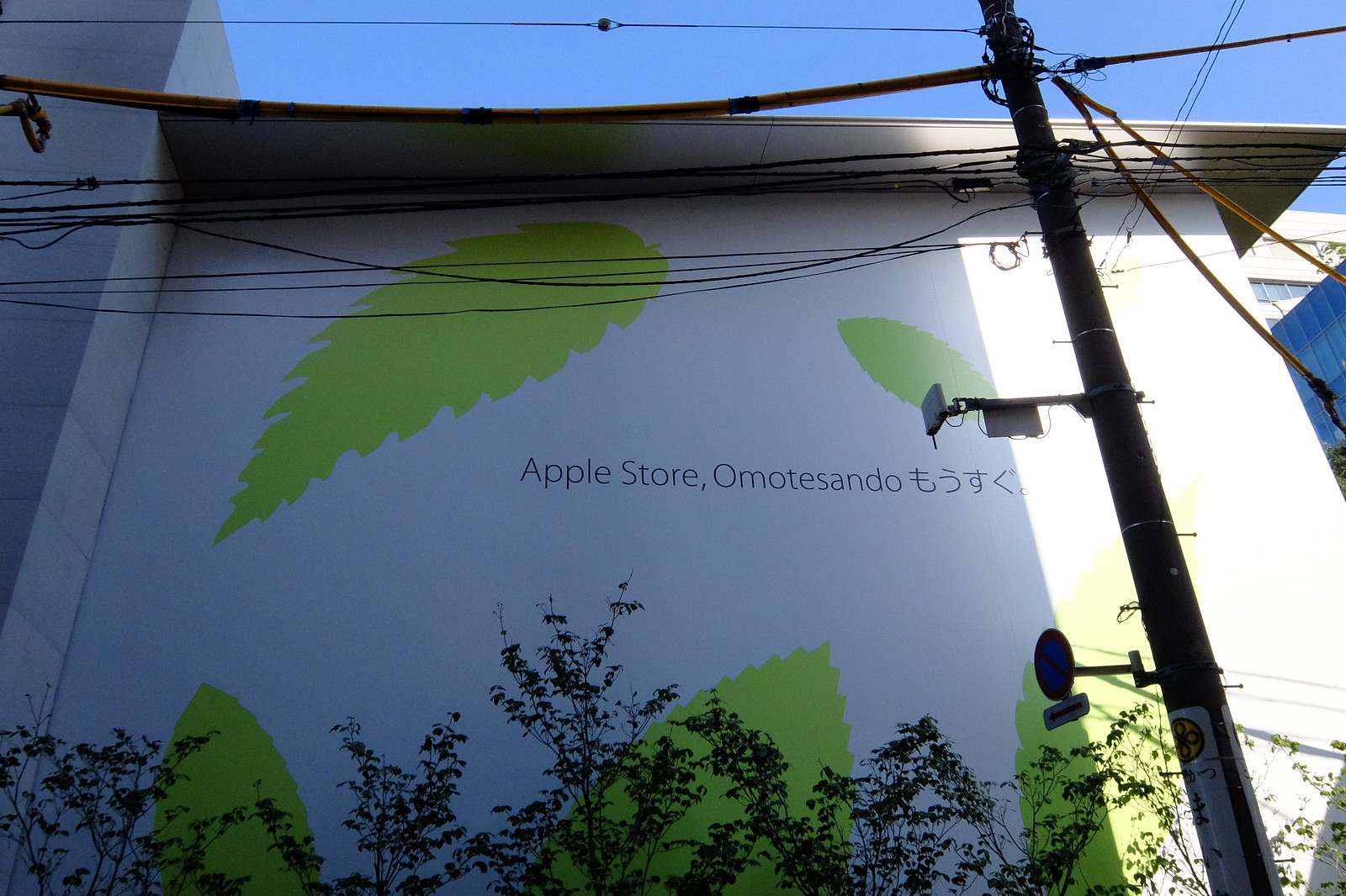 Apple Store, Omotesando
