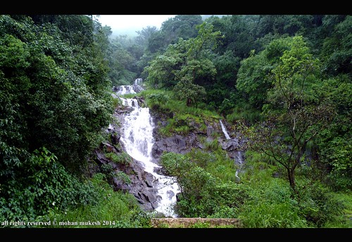india mist mountain heritage water waterfalls monsoon western greenery incredible milky ghats ghat charmadi malenadu chikamagalur