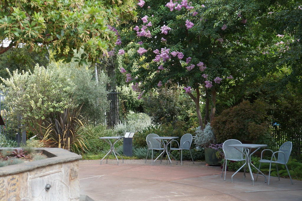 UC Davis Arboretum Terrace Garden and Lois Crowe Patio