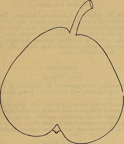 Paternoster