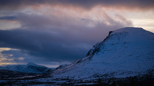Skogshorn i Kveldslys_.jpg by Sven LP, buskerud norway