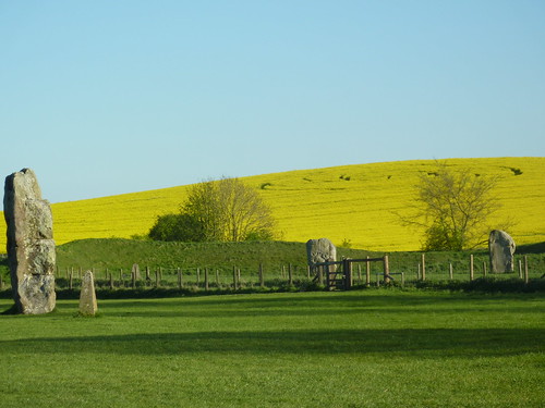 Avebury Crop Circle 