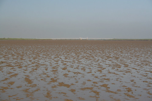 The Broomway on Maplin Sands 