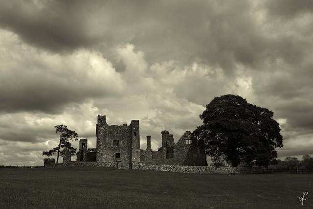 Bective Abbey, Co. Meath