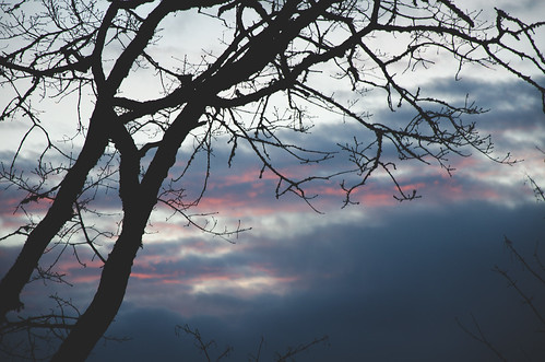 travel sunset tree silhouette clouds washington nikon dusk branches wa nikkor ridgefield d7000 nikond7000 18105mmf3556gedafsvrdx