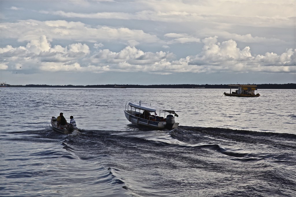 View of Rio Negro - Manaus, Amazonas