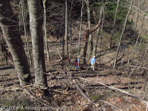 Early spring hiking in Abraham Lincoln Park, New York