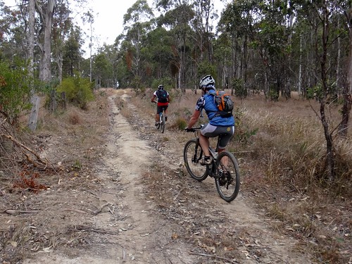 park forest cycling state national mtb conondale jimna