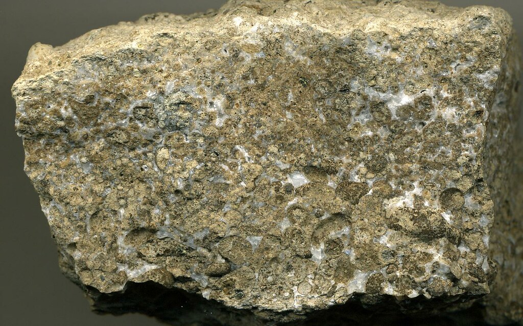Calciocarbonatite lapillistone (extrusive calciocarbonatite) (Kaiserstuhl Complex, Miocene; near Freiburg, Germany) 1
