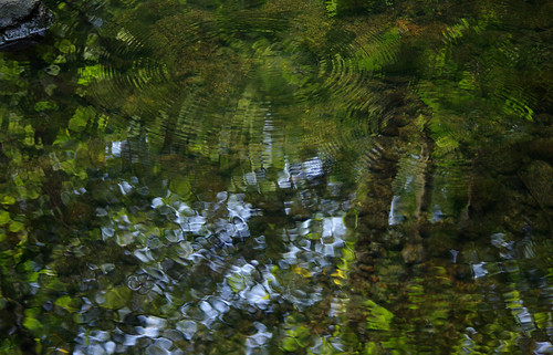 pentax k3 vbd smcpentaxda55300mmf458ed ct connecticut water newengland reflection river waterbugs 2016 summer2016 pequonnockriver stream oldminepark trumbull