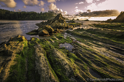 park longexposure travel sunset wild woman usa mountain hot seaweed west tree sexy ass beach beautiful rock sex oregon forest canon sketchy naked nude photography spread bay coast us photo high fantastic photographer tour state pacific northwest or awesome tide low butt arnold pussy central picture logging peaceful wave pic tourist professional charleston where photograph le empire wife pro cape 5d serene how milf ore idyllic tidal seastack northbend coos mkiii arago davearnold davearnoldphotocom